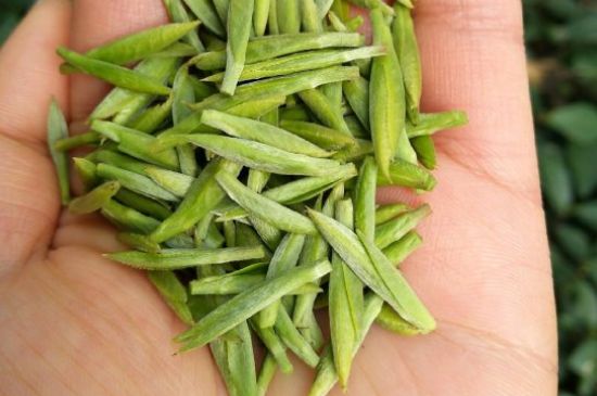 什么綠茶味道濃香，那個(gè)綠茶比較濃香？