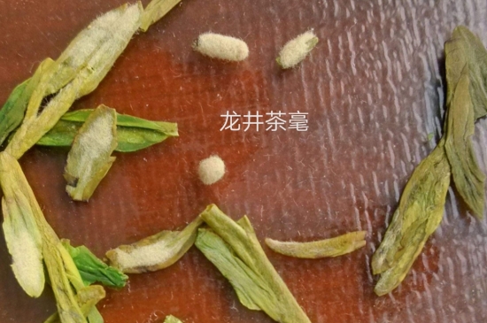 西湖龍井茶毫和發(fā)霉區(qū)別圖片，長霉的龍井茶葉會(huì)是什么樣？