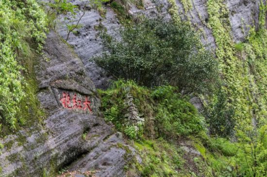 大紅袍為什么沒保質(zhì)期，武夷巖茶大紅袍能放幾年？