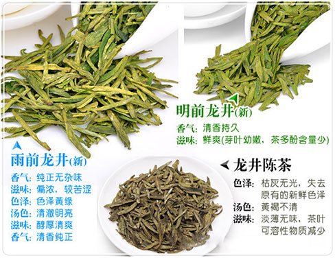 西湖龍井新茶和陳茶的區(qū)別，怎么區(qū)分龍井新茶和舊茶？