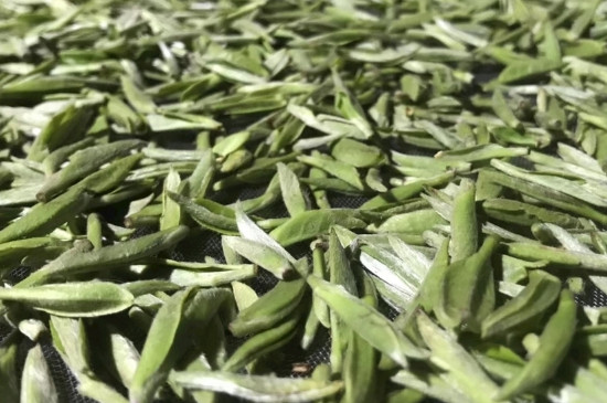 白毫銀針年份久的有什么香，陳年白毫銀針的香氣