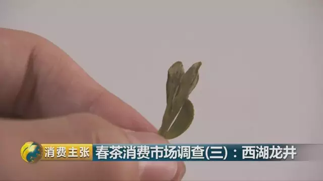 龍井群體種和43號(hào)的區(qū)別圖片，龍井43和群體種哪個(gè)好喝？