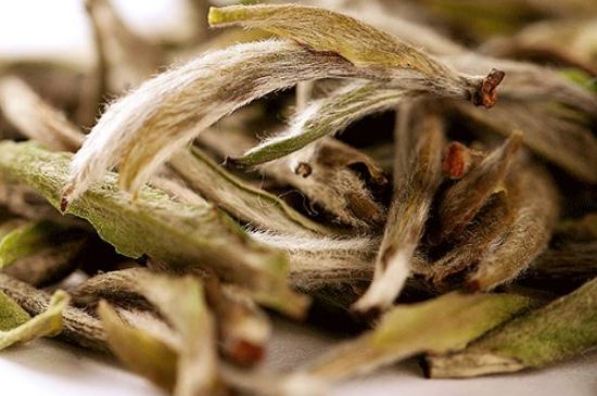 荒野銀針有什么特點(diǎn)，荒野銀針的味道口感咋樣？