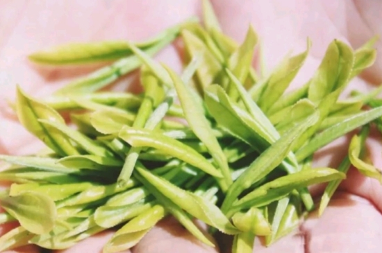 龍井是明前的好還是雨前的好，明前茶和雨前茶哪個(gè)好喝？