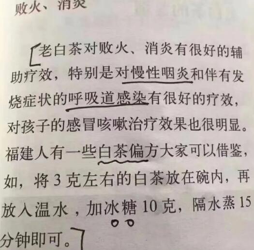 老白茶上火還是去火？夏季喝煮的老白茶會容易上火！