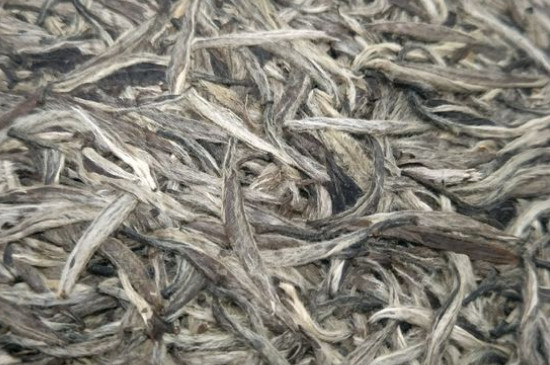 白毫銀針年份久的有什么香，陳年白毫銀針的香氣