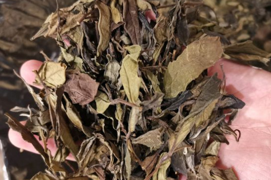 新舊白茶怎么區(qū)分，怎么分辨白茶是新還是舊