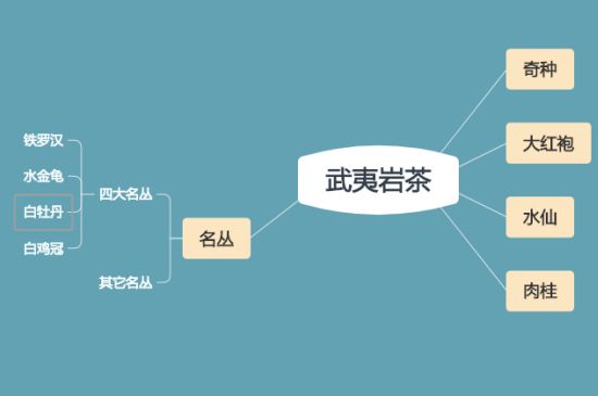 武夷巖茶品種大全，巖茶有幾種？
