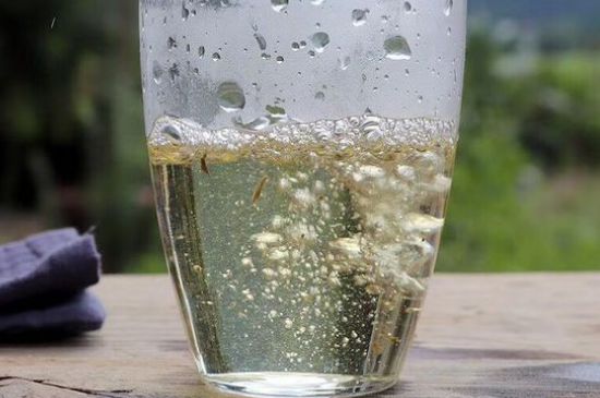 三年白茶賽砒霜，這是真的嗎？