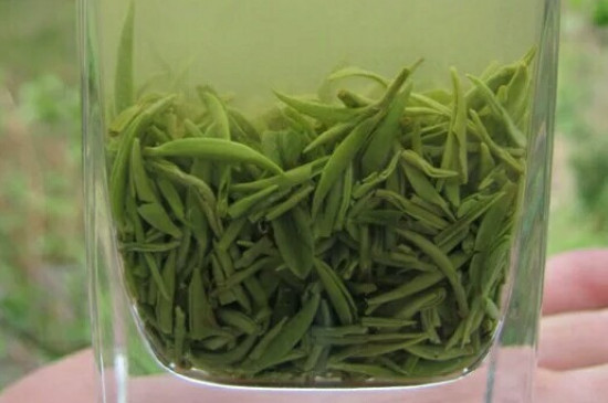 什么綠茶茶葉唇齒留香，哪個品種綠茶香氣好？