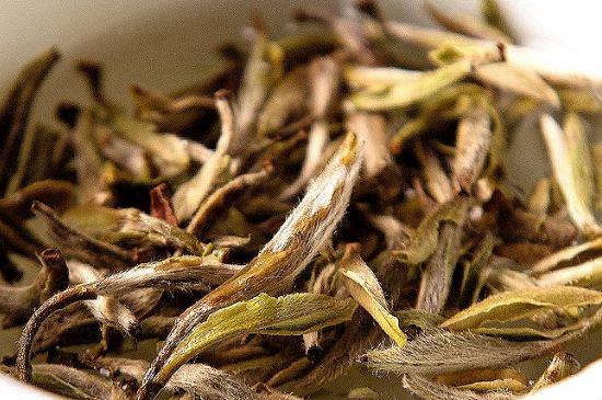 荒野銀針市場價(jià)多少，真正的荒野白毫銀針多少錢？