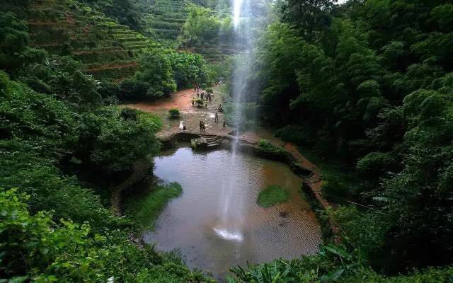 武夷山為什么盛產(chǎn)茶葉，武夷山茶為什么好喝？