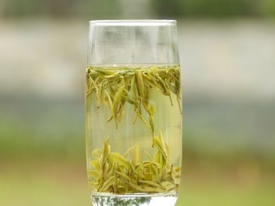 霍山黃芽算是好茶嗎，霍山黃芽屬于什么茶？