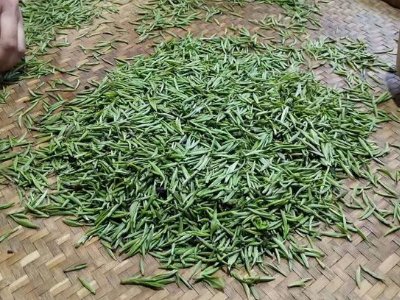 金駿眉幾年可以算陳茶，金駿眉新茶好還是老茶