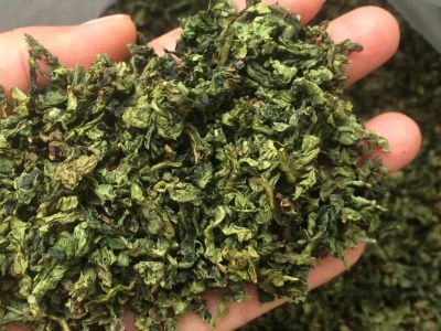 鐵觀音毛茶茶?？梢耘菟葐?，鐵觀音帶梗是不是好茶？