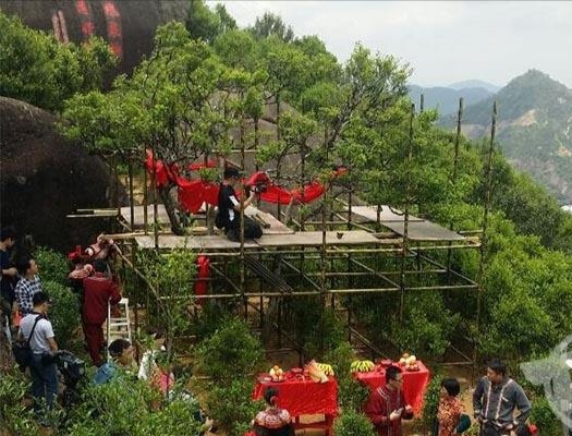 宋種一號價(jià)值為什么高，鳳凰單樅宋種1號價(jià)格與產(chǎn)量多少？