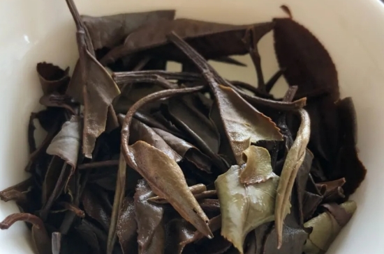 老白茶上火還是去火？夏季喝煮的老白茶會容易上火！