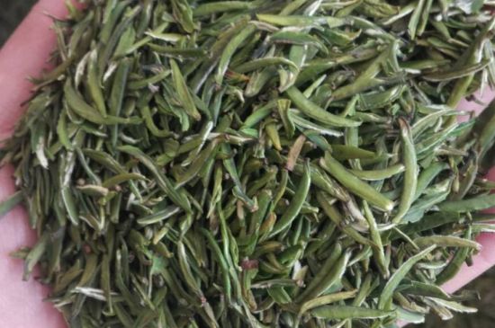 金壇雀舌算不算好茶，金壇雀舌屬于什么檔次茶葉？