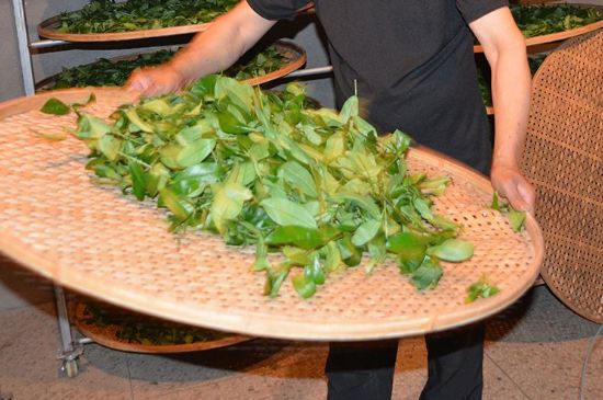 鐵觀音加香精騙局，鐵觀音的香味是添加香精了嗎？