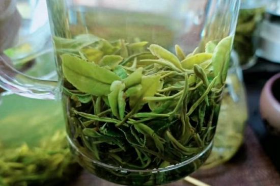 什么綠茶味道濃香，那個(gè)綠茶比較濃香？