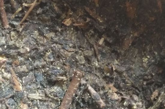 黑茶茯茶保存五大忌，茯茶收藏的注意事項