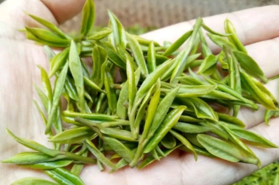 什么是雪前龍井茶，明前、雨前、雨后龍井有什么區(qū)別？