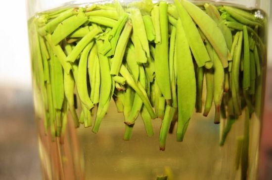 雀舌為何喝著是苦的，雀舌味道怎么那么苦澀？