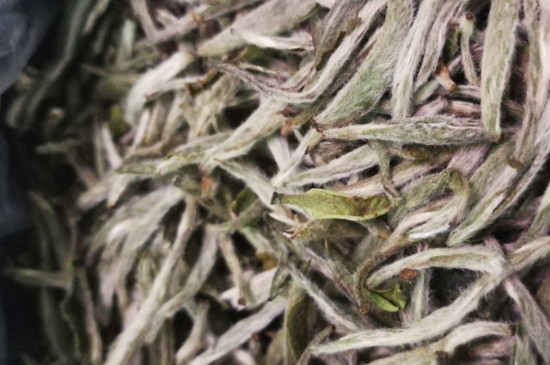 白毫銀針年份越久越好嗎，銀針白毫是否越陳越好