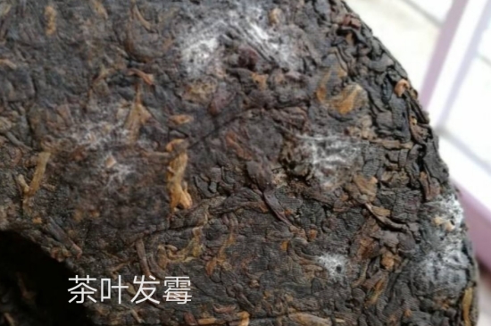西湖龍井茶毫和發(fā)霉區(qū)別圖片，長霉的龍井茶葉會(huì)是什么樣？